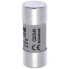 C22G40 CYLINDRICAL FUSE 22 x 58 40A GG 690V AC EATON ELECTRIC Fuse-link, LV, 10 A, AC 690 V, 22 x 58 mm, gL/..