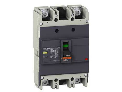 MCCB Easypact EZC250 - Cầu dao Aptomat tự động dạng khối Schneider EZC 2P H 250A