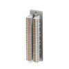 DFLK 50/FKCT 2903043 PHOENIX CONTACT Interface module