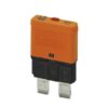 TCP 40/DC32V 0700040 PHOENIX CONTACT Thermal device circuit breaker, Number of positions: 1, Nominal current..