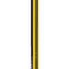 C4P-SA09011C00